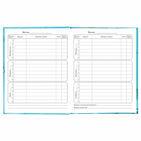 Дневник 1-4 класс 48 л., твердый, BRAUBERG, глянцевая ламинация, с подсказом, "Милые Коалы", 106358 - Дневники для младших классов