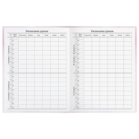 Дневник 1-11 класс 48 л., твердый, BRAUBERG, глянцевая ламинация, с подсказом, "Совушка", 106601 - Дневники для младших классов