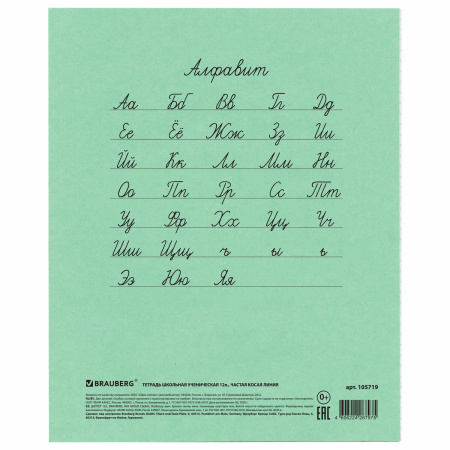 Тетрадь ВЕЛИКИЕ ИМЕНА. Толстой Л.Н., 12 л. частая косая линия, плотная бумага 80 г/м2, обложка тонированный офсет, BRAUBERG, 105719 - Тетради 12-24 листов