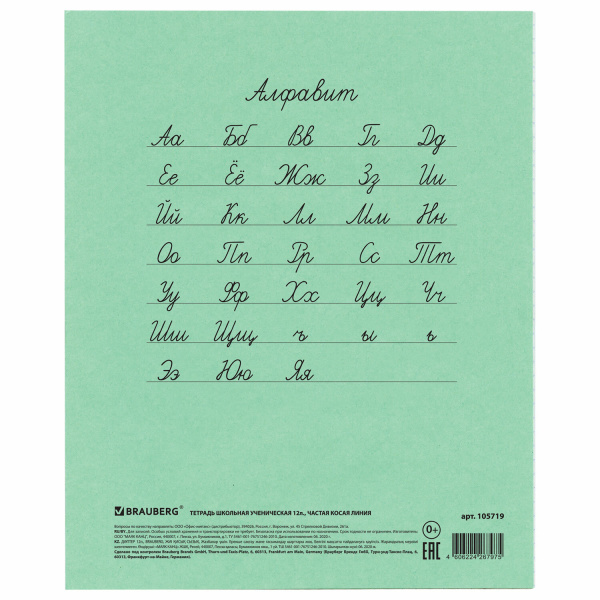 Тетрадь ВЕЛИКИЕ ИМЕНА. Толстой Л.Н., 12 л. частая косая линия, плотная бумага 80 г/м2, обложка тонированный офсет, BRAUBERG, 105719 - Тетради 12-24 листов