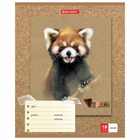 Тетрадь 18 л. BRAUBERG линия, обложка картон, "МИЛЫЕ ЗВЕРУШКИ", 403580 - Тетради 12-24 листов