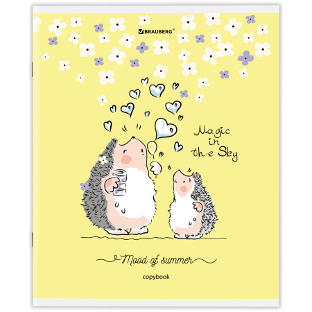 Тетрадь А5 48 л. BRAUBERG скоба, клетка, обложка картон, "Приключения Ёжика" (микс в спайке), 404366 - Тетради 40-48 листов