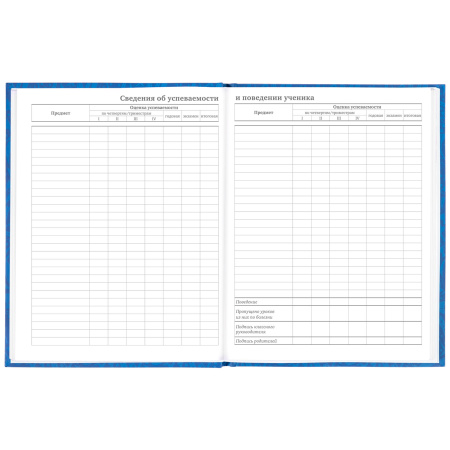 Дневник 5-11 класс 48 л., твердый, BRAUBERG, фольга, с подсказом, "Football", 106416 - Дневники для старших классов