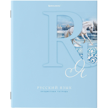 Тетради предметные, КОМПЛЕКТ 12 ПРЕДМЕТОВ, ПАСТЕЛЬНАЯ, 48 листов, обложка картон, BRAUBERG, 404026 - Тетради предметные