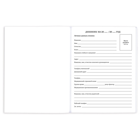 Дневник 1-11 класс 40 л., на скобе, ПИФАГОР, обложка картон, "Девочка", 106583 - Дневники универсальные