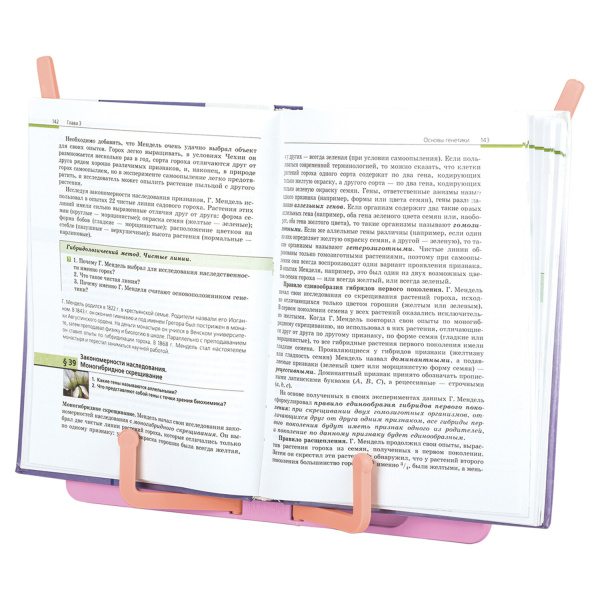 Подставка для книг и учебников BRAUBERG KIDS "Flamingo", регулируемый угол наклона, прочный ABS-пластик, 238061 - Подставки для книг