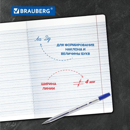 Тетради 12 л. КОМПЛЕКТ 20 шт. BRAUBERG "КЛАССИКА NEW", частая косая с дополнительной горизонтальной, ЗЕЛЕНАЯ, 880057 - Тетради 12-24 листов