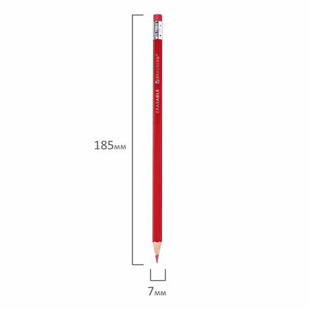Карандаши цветные стираемые с ластиком BRAUBERG ERASABLE, 12 цветов, мягкий грифель 3 мм, 181932 - Карандаши цветные