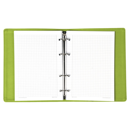 Тетрадь на кольцах А5 (180х220 мм), 120 листов, под кожу, клетка, BRAUBERG "Joy", зелёный/светло-зелёный, 129991 - Тетради на кольцах и сменные блоки к ним