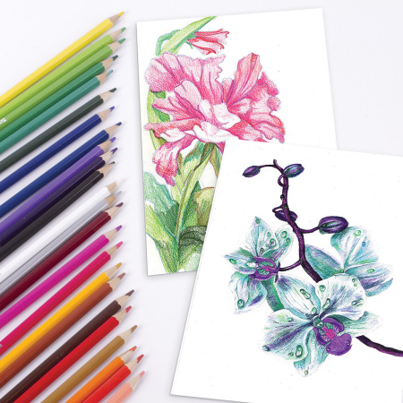 Карандаши цветные акварельные BRAUBERG "АКАДЕМИЯ", 24 цвета, шестигранные,высокое качество, 181400 - Карандаши цветные акварельные