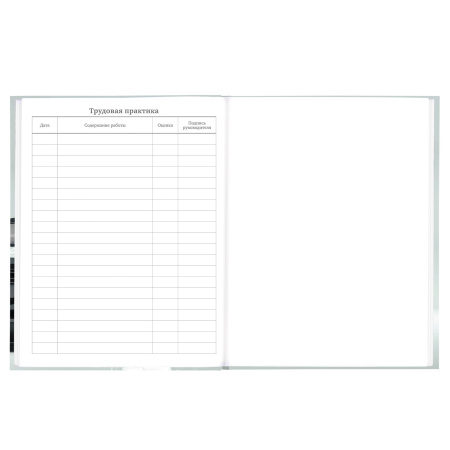 Дневник 5-11 класс 48 л., твердый, BRAUBERG, выборочный лак, с подсказом, "Super Car", 106634 - Дневники для старших классов