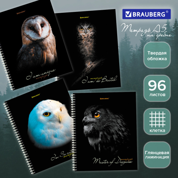 Тетрадь А5 96 л. BRAUBERG, гребень, клетка, твёрдая обложка, "Совы" (4 вида в спайке), 404443