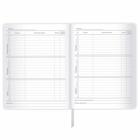 Дневник 1-11 класс 48 л., кожзам (гибкая), печать, фольга, BRAUBERG, "Insight", 106176 - Дневники универсальные