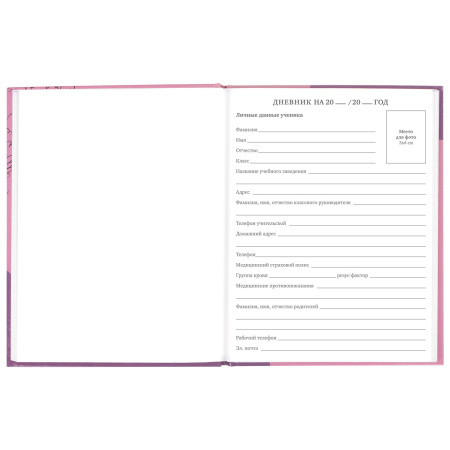 Дневник 5-11 класс 48 л., твердый, BRAUBERG, глянцевая ламинация, с подсказом, "Сладкая Жизнь", 106400 - Дневники для старших классов
