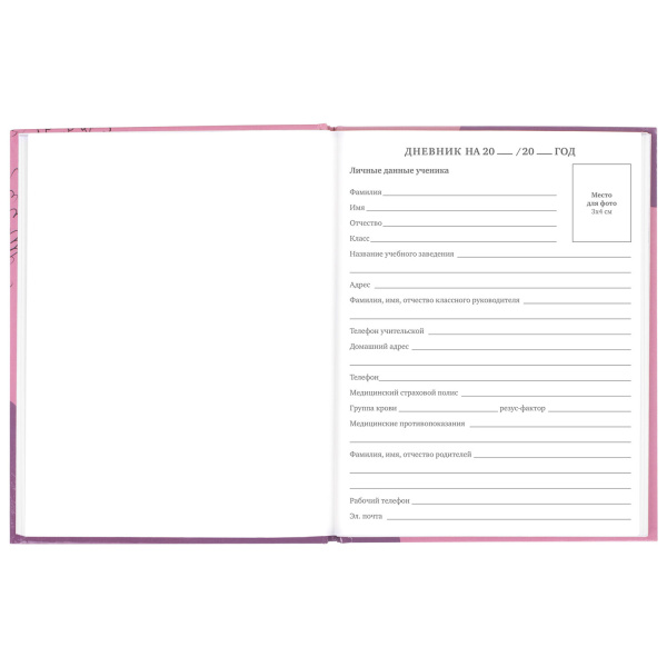 Дневник 5-11 класс 48 л., твердый, BRAUBERG, глянцевая ламинация, с подсказом, "Сладкая Жизнь", 106400 - Дневники для старших классов