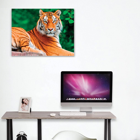 Картина стразами (алмазная мозаика) 40х50 см, ОСТРОВ СОКРОВИЩ "Тигр", на подрамнике, 662427 - Алмазная вышивка