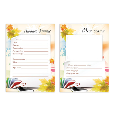 Листы-вкладыши для портфолио ШКОЛЬНИКА, 30 разделов, 32 листа, "Моё портфолио", BRAUBERG, 127550 - Портфолио