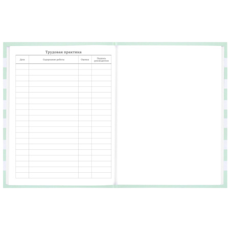 Дневник 1-11 класс 48 л., твердый, BRAUBERG, блестки, с подсказом, "Котик", 106606 - Дневники для младших классов