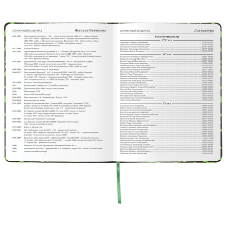 Дневник 1-11 класс 48 л., кожзам (твердая с поролоном), флуоресцентный, BRAUBERG, "ШРИФТ", 105983 - Дневники для старших классов