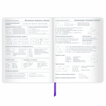 Дневник 1-11 класс 48 л., кожзам (гибкая), термотиснение, фольга, BRAUBERG, "Panda", 106171 - Дневники универсальные