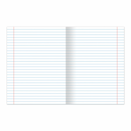 Тетрадь BRAUBERG "EXTRA" 24 л., линия, плотная бумага 80 г/м2, обложка картон, 105711 - Тетради 12-24 листов