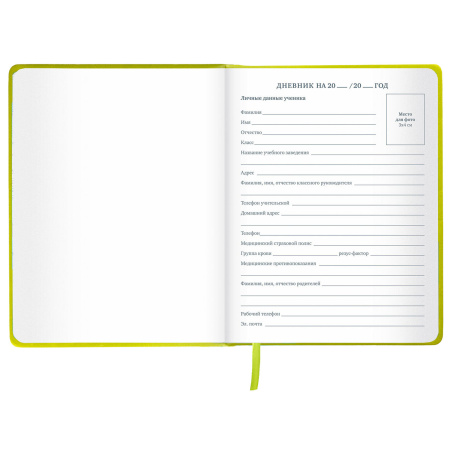 Дневник 1-11 класс 48 л., кожзам (твердая с поролоном), тиснение аппликация, BRAUBERG, "Super Avo", 106205 - Дневники универсальные