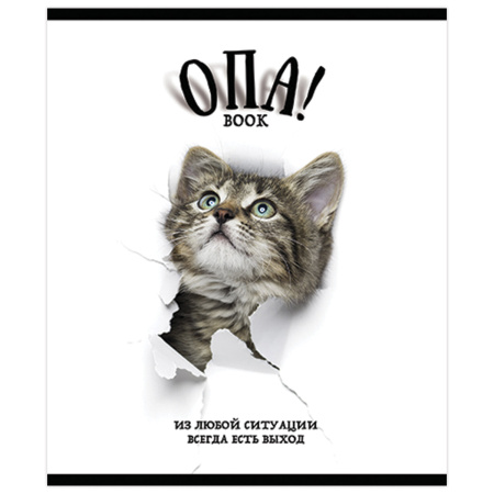 Тетрадь А5, 48 л., ПЗБМ, скоба, клетка, выборочный TWIN лак, "ОПА!" (5 видов), 028664 - Тетради 40-48 листов