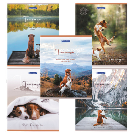 Тетрадь А5 48 л. BRAUBERG скоба, клетка, обложка картон, "Best Friends" (микс в спайке), 404360 - Тетради 40-48 листов