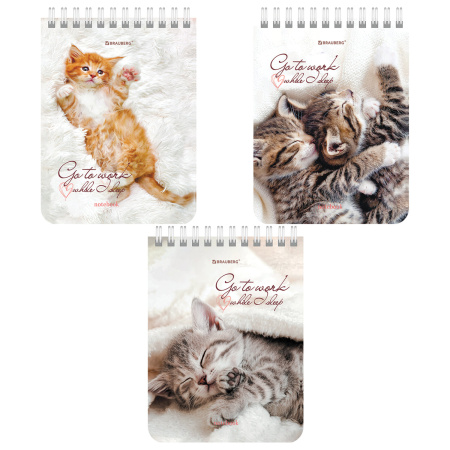 Блокнот МАЛЫЙ ФОРМАТ А6 108х145 мм, 40 л., гребень, картон, клетка, BRAUBERG, "Милые котята", 114391 - Блокноты