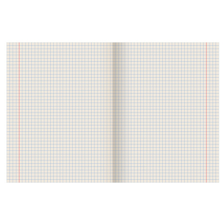 Тетрадь ЗЕЛЁНАЯ обложка 18 л., клетка с полями, офсет №2 ЭКОНОМ, "ПИФАГОР", 104986 - Тетради 12-24 листов