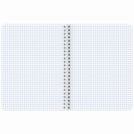 Тетрадь А5 48 л. BRAUBERG, гребень, клетка, обложка картон, "Nature" (4 вида в спайке), 404340 - Тетради 40-48 листов