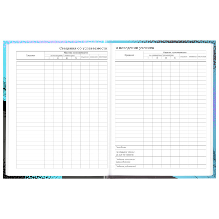 Дневник 5-11 класс 48 л., твердый, BRAUBERG, глянцевая ламинация, с подсказом, "Race Car", 106624 - Дневники для старших классов