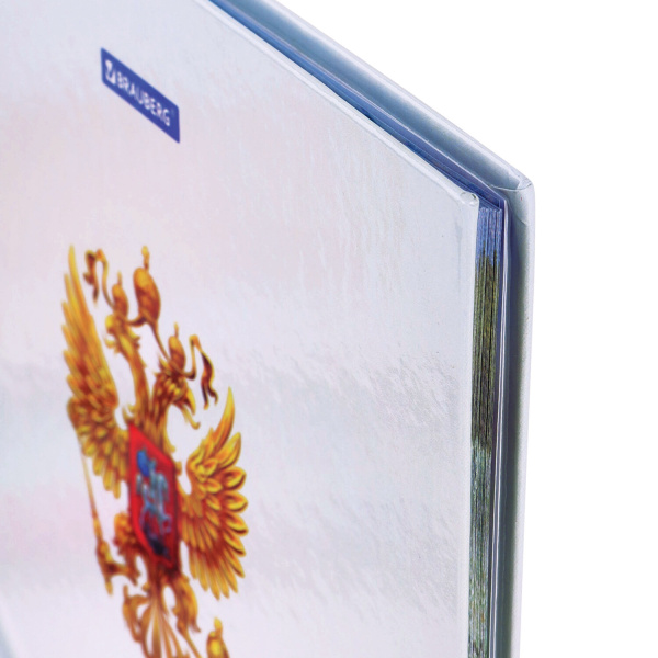 Дневник МП 1-11 класс 40 л., твердый, BRAUBERG, ламинация, цветная печать, "РОССИЙСКОГО ШКОЛЬНИКА-6", 106643 - Дневники универсальные