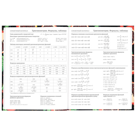 Дневник 5-11 класс 48 л., твердый, BRAUBERG, блестки, с подсказом, "Гранаты", 106639 - Дневники для старших классов