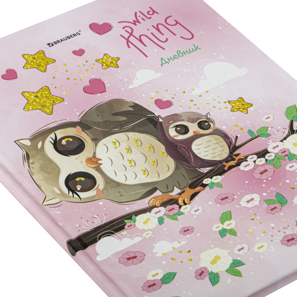 Дневник 1-11 класс 48 л., твердый, BRAUBERG, глянцевая ламинация, с подсказом, "Совушка", 106601 - Дневники для младших классов