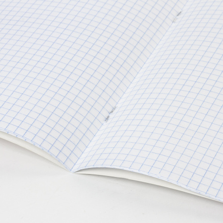 Тетрадь 24 л. BRAUBERG, клетка, обложка картон, СРЕДИ ЦВЕТОВ, 403006 - Тетради 12-24 листов