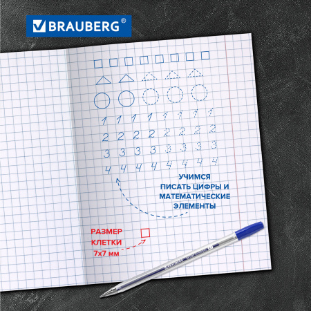 Тетради 12 л. КОМПЛЕКТ 20 шт. BRAUBERG ВЕЛИКИЕ ИМЕНА АРХИМЕД, крупная клетка, бумага 80 г/м2, 880023 - Тетради 12-24 листов