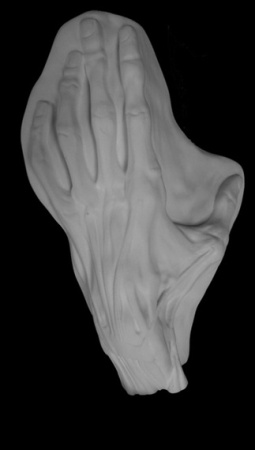 Кисть анатомическая 26,5*16,5*7 (20-207)