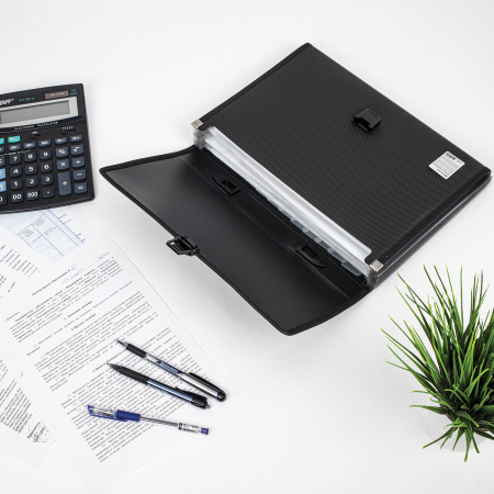 Папка-портфель пластиковая BRAUBERG "ДИПЛОМАТ", А4 (330х245х35 мм), 13 отделений, фактура бисер, черная, 226025 - Портфели пластиковые