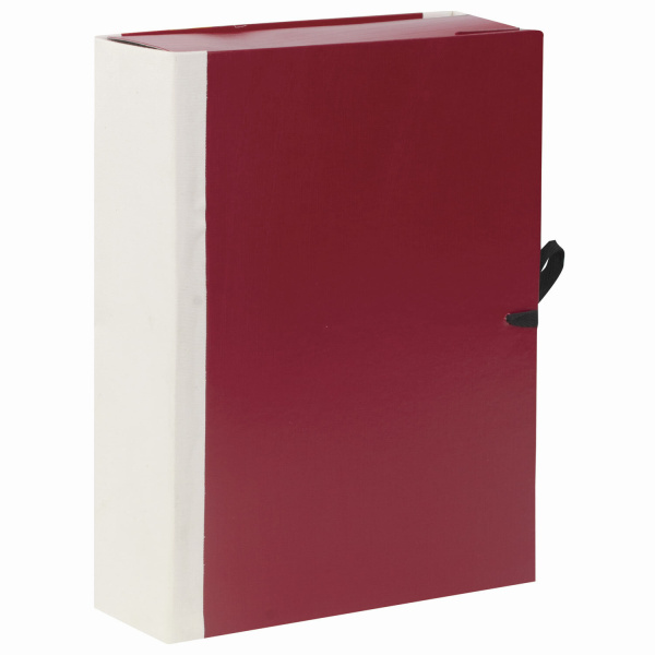 Папка для бумаг архивная А4 (225х310 мм), 80 мм, 4 завязки, бумвинил, корешок - коленкор, 123200 - Папки картонные с завязками