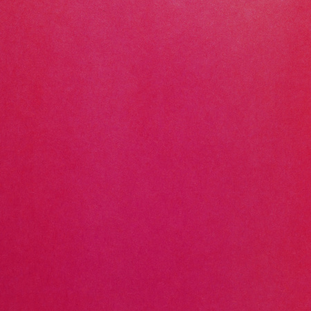 Цветная бумага А4 офсетная, 24 листа 24 цвета, на скобе, BRAUBERG, 200х280 мм, "Птица", 113538 - Цветная бумага