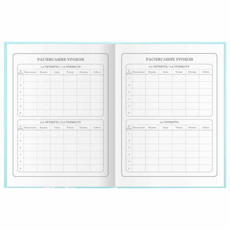Дневник 1-4 класс 48 л., гибкая обложка, ЮНЛАНДИЯ, выборочный лак, с подсказом, "Little Princess", 106344 - Дневники для младших классов