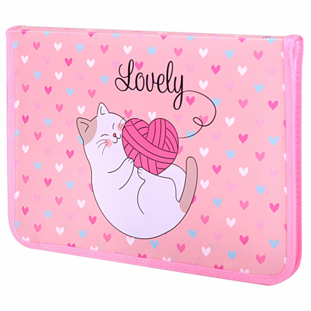 Папка для труда на молнии ЮНЛАНДИЯ А4, 1 отделение, откидная планка, органайзер, "Fluffy cat", 270982 - Папки для тетрадей и уроков труда