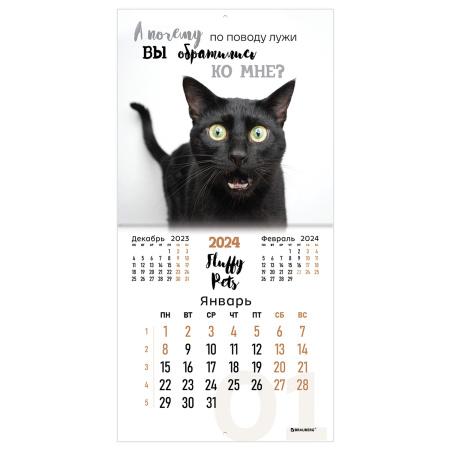Календарь настенный перекидной на 2024 г., BRAUBERG, 12 листов, 29х29 см, "Кошечки", 115315 - Календари настенные
