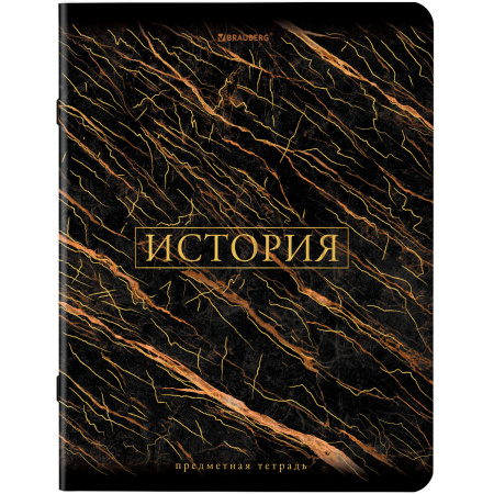 Тетради предметные, КОМПЛЕКТ 12 ПРЕДМЕТОВ, "MARBLE", 48 л., SoftTouch, фольга, BRAUBERG, 404326 - Тетради предметные