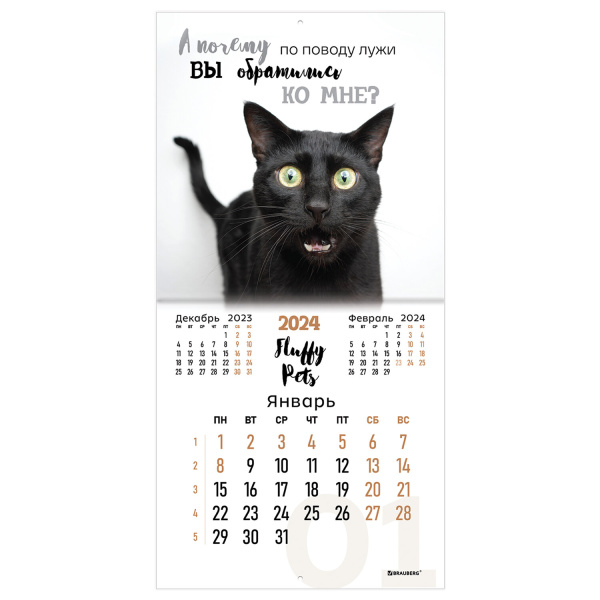 Календарь настенный перекидной на 2024 г., BRAUBERG, 12 листов, 29х29 см, "Кошечки", 115315 - Календари настенные