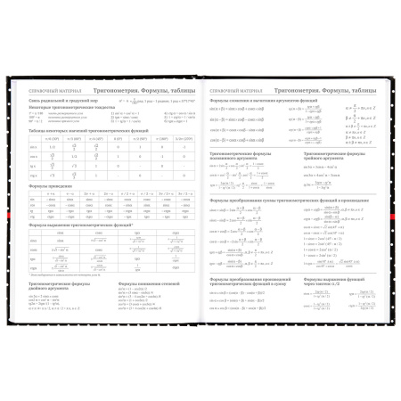 Дневник 5-11 класс 48 л., твердый, BRAUBERG, глянцевая ламинация, с подсказом, "Стиль", 106392 - Дневники для старших классов