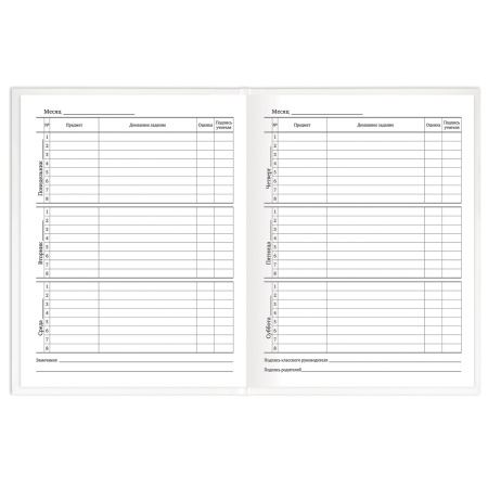 Дневник 1-11 класс 40 л., твердый, BRAUBERG, матовая ламинация, БЕЛЫЙ, 105540 - Дневники для старших классов