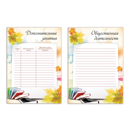 Листы-вкладыши для портфолио ШКОЛЬНИКА, 30 разделов, 32 листа, "Моё портфолио", BRAUBERG, 127550 - Портфолио