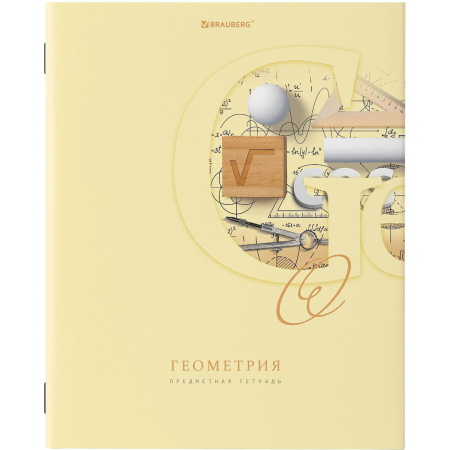 Тетради предметные, КОМПЛЕКТ 12 ПРЕДМЕТОВ, ПАСТЕЛЬНАЯ, 48 листов, обложка картон, BRAUBERG, 404026 - Тетради предметные